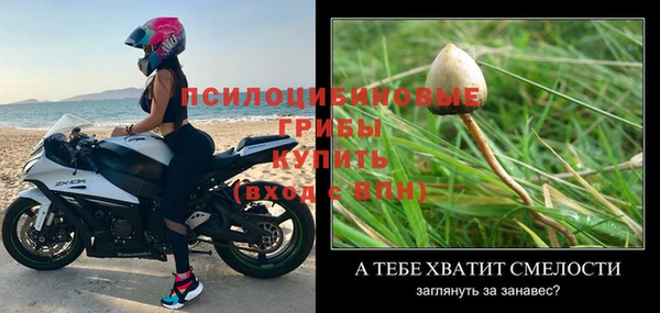 спайс Аркадак