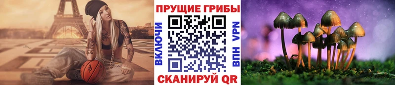 Псилоцибиновые грибы мухоморы  Знаменск 